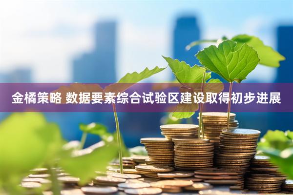 金橘策略 数据要素综合试验区建设取得初步进展